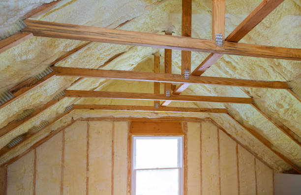 Best Cellulose Insulation in Vaville, CA